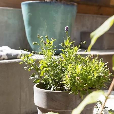 Gronbechs فندق إلينغه